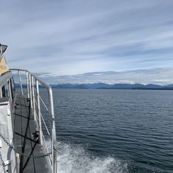 Discovery Marine Safari