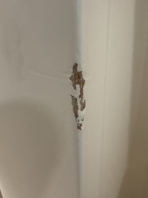 Furniture Refinishing