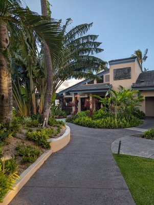 The Banyan Tree by null