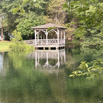 Green Frog Farm - This was the pond just behind our cabin a very short walk away. - Bed & Breakfast Near Me - Alamo, Tennessee Green Frog Farm - This was the pond just behind our cabin a very short walk away. - Bed & Breakfast Near Me - Alamo, Tennessee