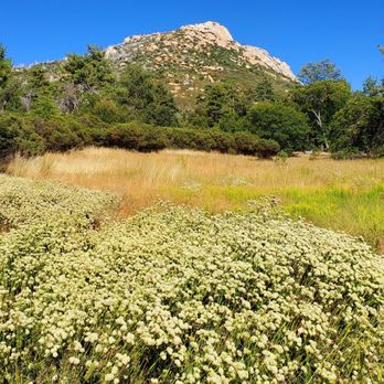 Paso Picacho Picnic and Campgrounds - August, it's 83° outside.. - Campgrounds Near Me - Descanso, California Paso Picacho Picnic and Campgrounds - August, it's 83° outside.. - Campgrounds Near Me - Descanso, California