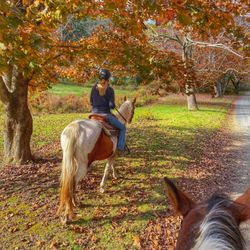 Mountain Creek Farm