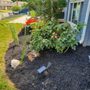 Photo of Benitez Tree & Landscaping