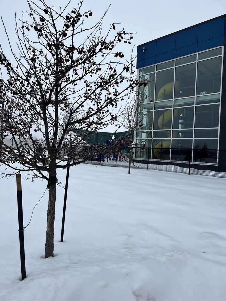 YMCA FOREST LAKE Updated September 2024 45 Photos 19845 Forest