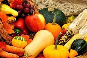 Frisco Rotary Farmers Market by null