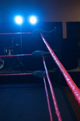 Manor Professional Wrestling Dinner Show by null