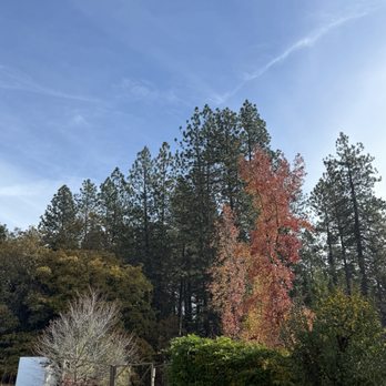 Rainbow Orchards - Parking lot views - Fruits & Veggies Near Me - Camino, California Rainbow Orchards - Parking lot views - Fruits & Veggies Near Me - Camino, California