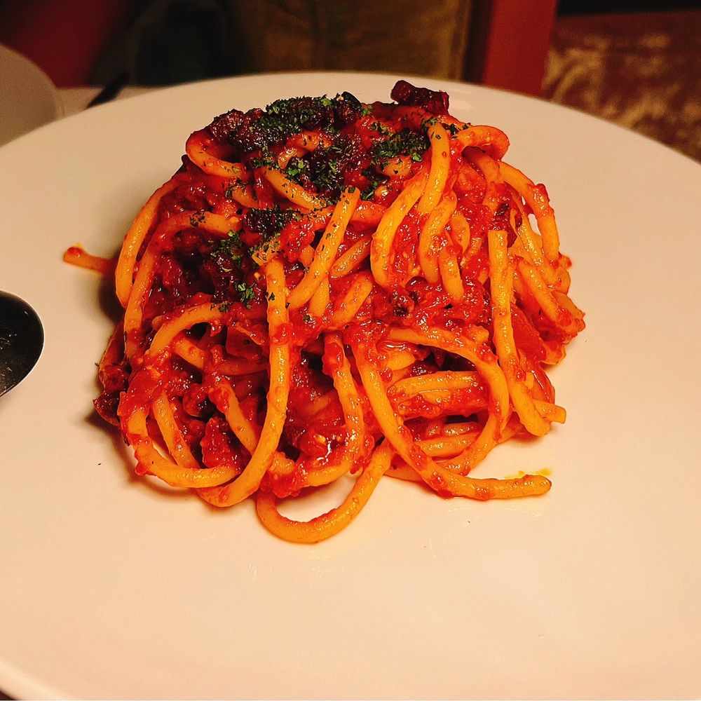 Tucci - bucatini amatriciana - Cocktail Bars Near Me - New York, New York Tucci - bucatini amatriciana - Cocktail Bars Near Me - New York, New York