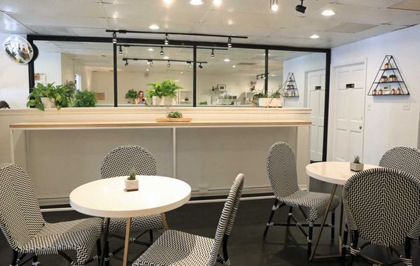 Paloma Parlor by null