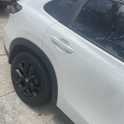 Caliber Collision