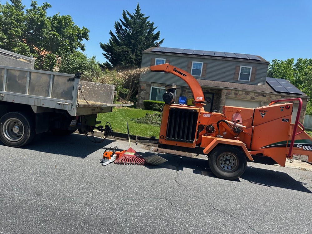 Fritchey's Tree Service - tree service in Harrisburg, PA