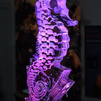 Ice Illusions - Amazing luge - Party & Event Planning Near Me - Santa Clara, California