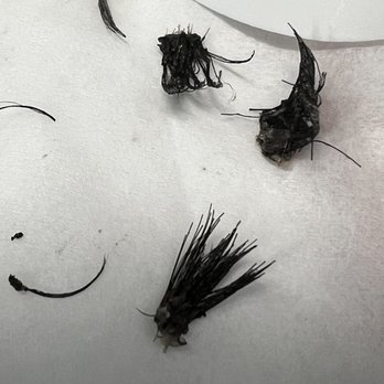 Golden Looks Salon - Yeah that's clumps of tacky glue like substance. It ripped out my natural lash & I have a sore eyelid - Hair Salons Near Me - Escondido, California