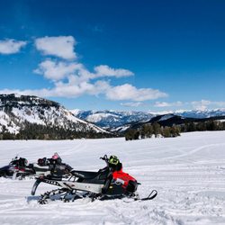 Alpine Adventures