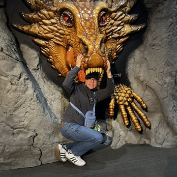 Vancouver Aquarium - Me and the Dragon - Aquariums Near Me - Vancouver, British Columbia Vancouver Aquarium - Me and the Dragon - Aquariums Near Me - Vancouver, British Columbia