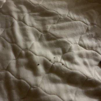 Grand Motel - Mouse droppings - Hotels Near Me - Grove, Oklahoma Grand Motel - Mouse droppings - Hotels Near Me - Grove, Oklahoma