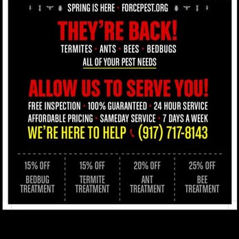 Force Pest Control - Summer specials ! - Pest Control Near Me Force Pest Control - Summer specials ! - Pest Control Near Me