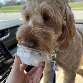 Biggby Coffee - Pup cup - Coffee & Tea Near Me - Westfield, Indiana Biggby Coffee - Pup cup - Coffee & Tea Near Me - Westfield, Indiana