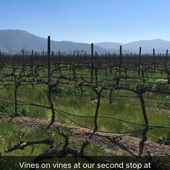 Bodegas RE - Wineries Near Me - Casablanca, VS Bodegas RE - Wineries Near Me - Casablanca, VS