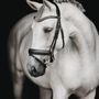 Photo of Alaina Hower Photography