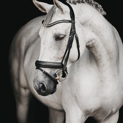 Alaina Hower Photography - Black background session in Pleasanton, CA