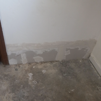 Bee Removal Services - Finished Drywall - Pest Control Near Me - Tulare, California Bee Removal Services - Finished Drywall - Pest Control Near Me - Tulare, California
