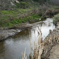 Kumeyaay Trail - River to cross if you want to get to the other side of lake.