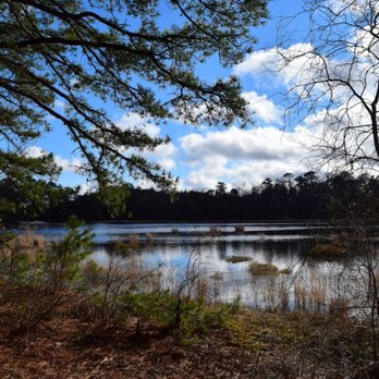 Double Trouble State Park - Hiking Near Me - Bayville, New Jersey