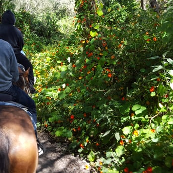 Pacific Dunes Riding Ranch - edible flowers! - Horseback Riding Near Me - Oceano, California