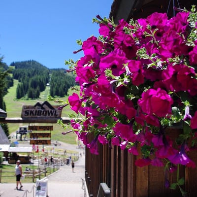 Mt. Hood Skibowl by null