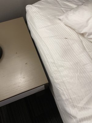 San Juan Hotel South Beach by null