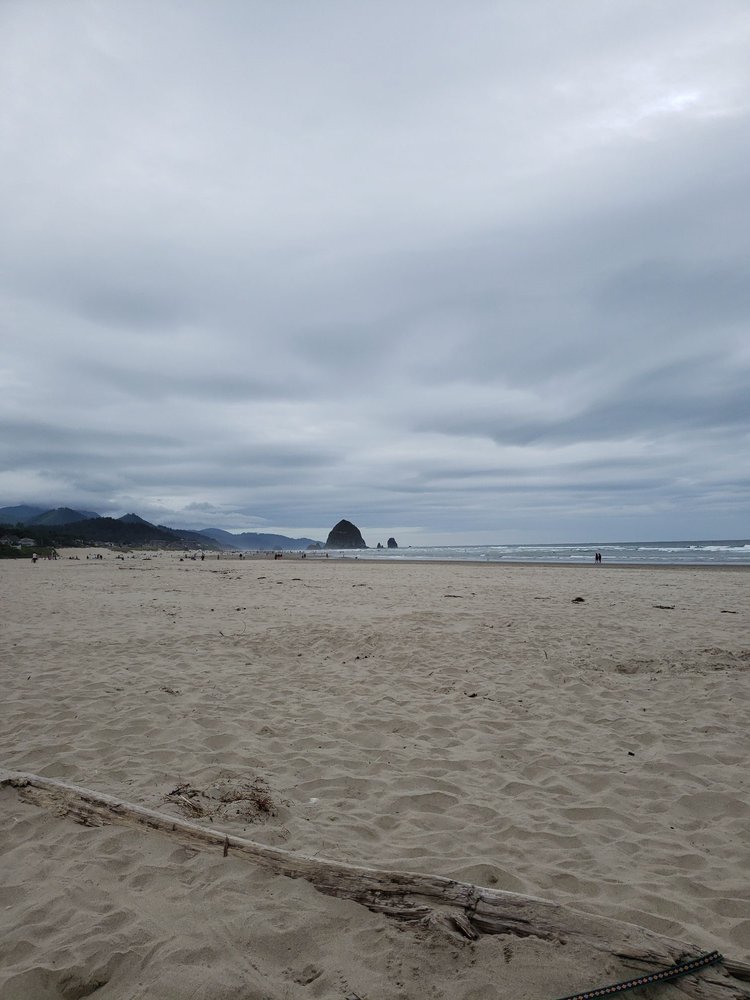 LES SHIRLEY PARK Updated July 2024 17 Photos City Hall 163 E Gower Cannon Beach, Cannon