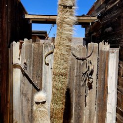Pioneertown - Ha ha ha