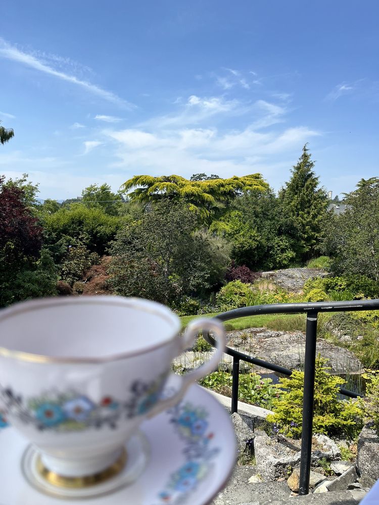 THE TEAHOUSE AT ABKHAZI GARDEN Updated October 2024 182 Photos & 75 Reviews 1964 Fairfield