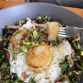 Doe Bay Cafe - Scallops - Cafes Near Me - Olga, Washington