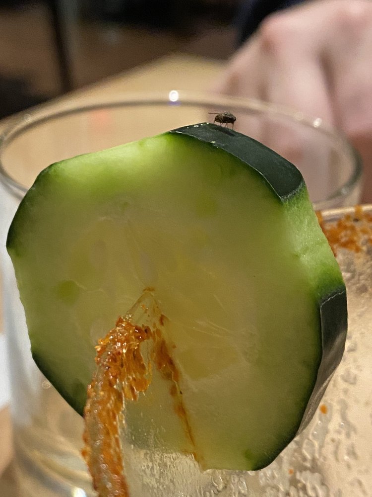 Sushi Zushi