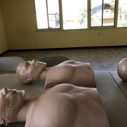 LB CPR CENTER - Adult Manakins