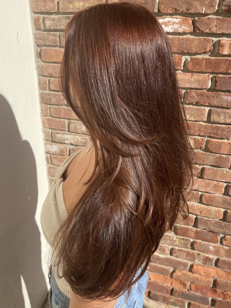 COCO ROSE Updated September 2024 53 S Sparta Ave, Sparta, New