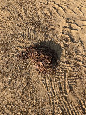Soil Direct by null