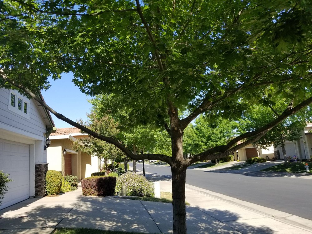 BRIGHTVIEW Updated September 2024 15 Reviews 5745 Alder Ave