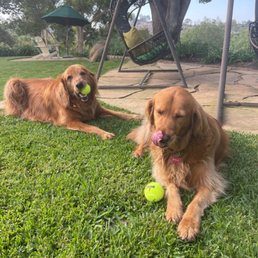 Copper & Cinnamon