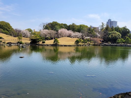 Suizenji Jojuen Garden by null
