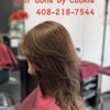 CK Salon gift card