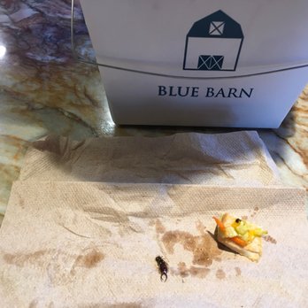 Blue Barn-Steiner - Bug found on chicken - Sandwiches Near Me - San Francisco, California Blue Barn-Steiner - Bug found on chicken - Sandwiches Near Me - San Francisco, California