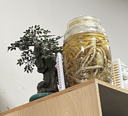 Kim Chee Restaurant No 2 by null