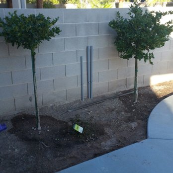 Everclear Pools - Pool & Hot Tub Service Near Me - Las Vegas, Nevada