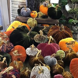 It's About Time - Plush pumpkin pillows