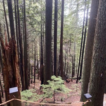 Grouse Grind - Hiking Near Me - North Vancouver, British Columbia