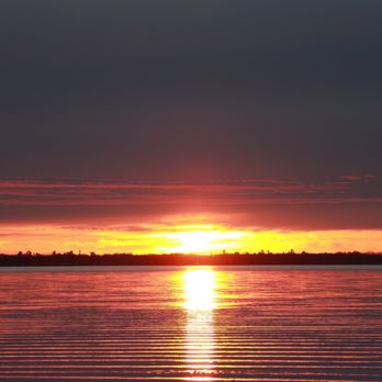 Onaway State Park - Campgrounds Near Me - Onaway, Michigan