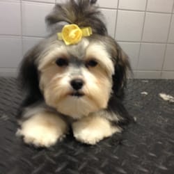 Barks & Bubbles Couture